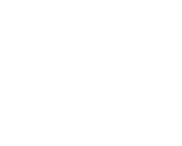 Dyl
